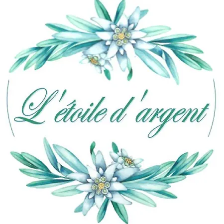 L'etoile D'argent, Centre-ville Apartmán *